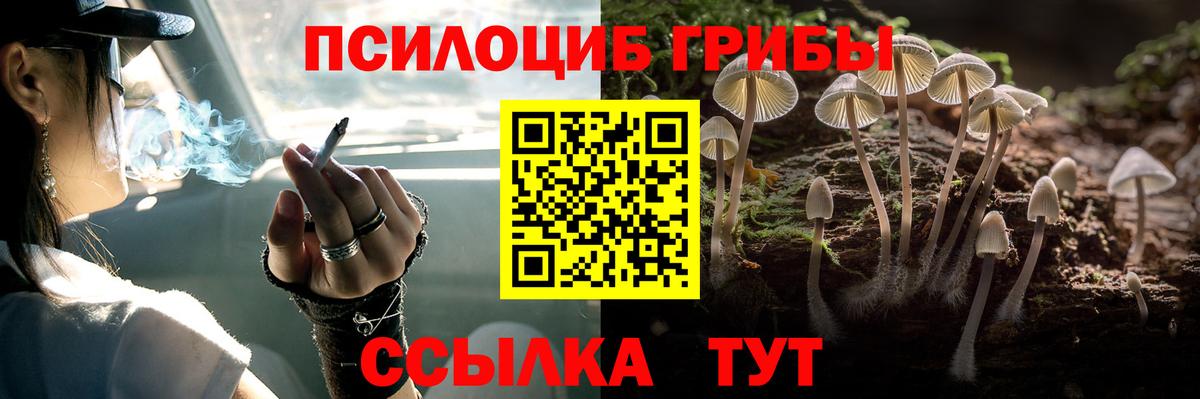 Галлюциногенные грибы Psilocybe  Вход с VPN  Нурлат 